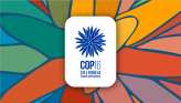 COP16